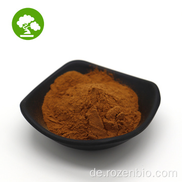 Hochwertiger natürlicher Chaga -Pilz -Extrakt Chaga -Pilze